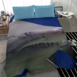 shark-bedding set