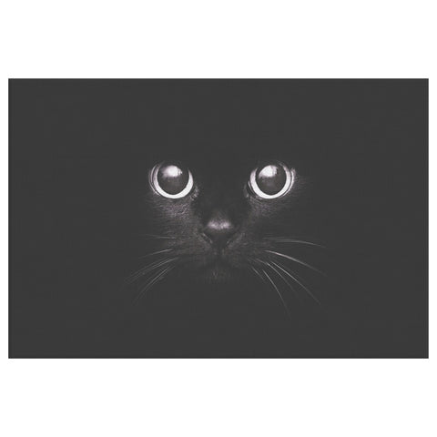 Black Cat canvas wallart