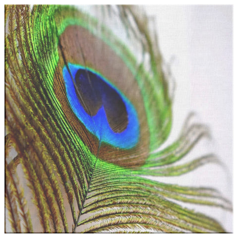 Peacock wall art