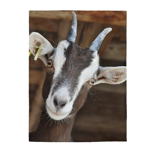 Goat Blanket