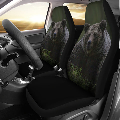 Bear Car Seats