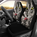 cat car seats regular