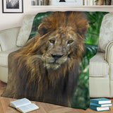 lion-blanket