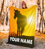 horse- blanket
