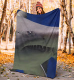 shark- blanket