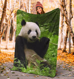 panda- blanket