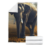 elephant-blanket