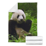 panda- blanket